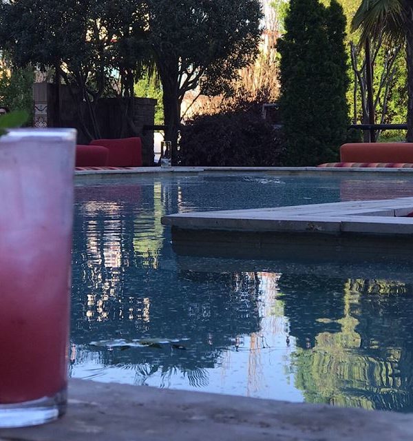 FUGA DI PRIMAVERA: Ketel One Botanical Cucumber & Mint, Fresh Basil, Muddled Blueberries