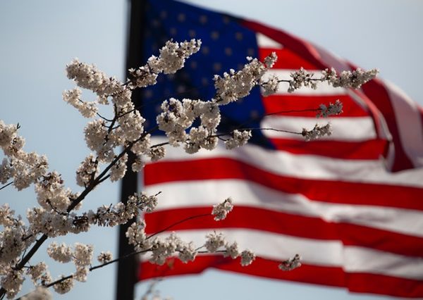 Closed July 4, 2019